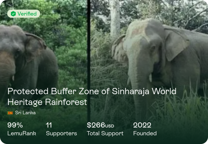 protected-buffer-zone-of-sinharaja-world-heritage-rainforest