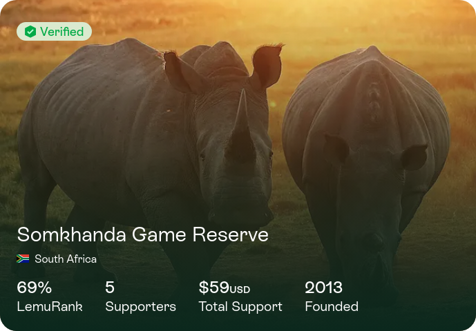 somkhanda-game-reserve