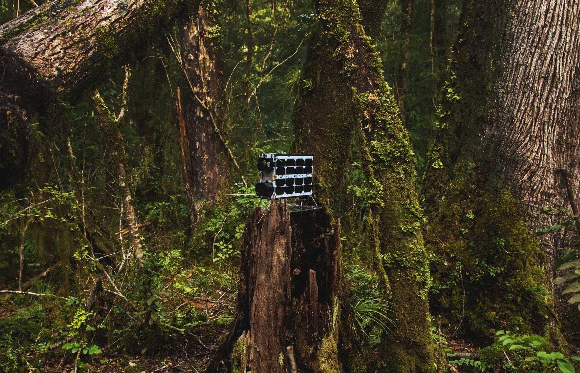 Mission to save Earth – Lemu signs contract with NanoAvionics for the world’s first global biodiversity observation mission